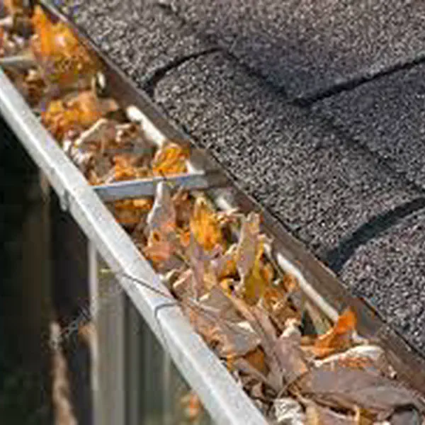 Gutter Cleaning